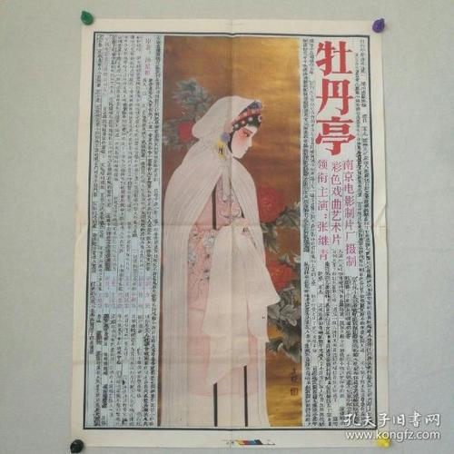 高中毕业证照片女